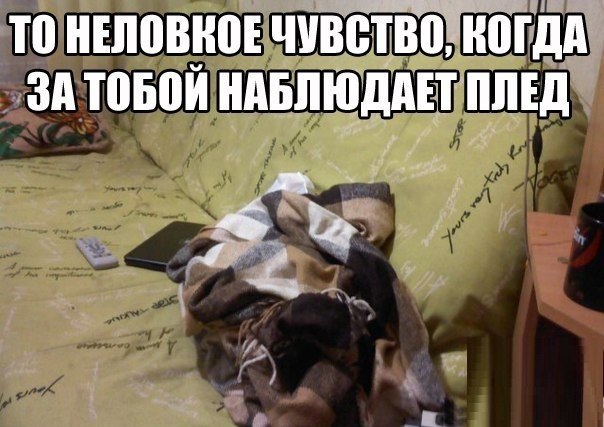 Он смотрит на нас!!!