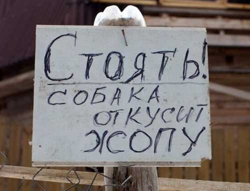 злые хозяева, злые дети, злая собака, все злое..