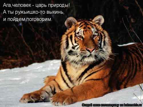 Что с тобой говорить? За тебя даже Тимур подпишется....