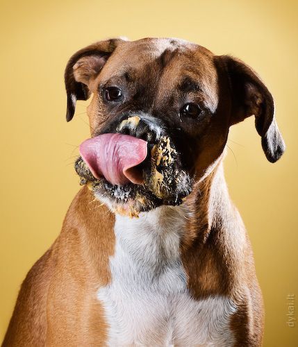 ах, какая вкусняшка!