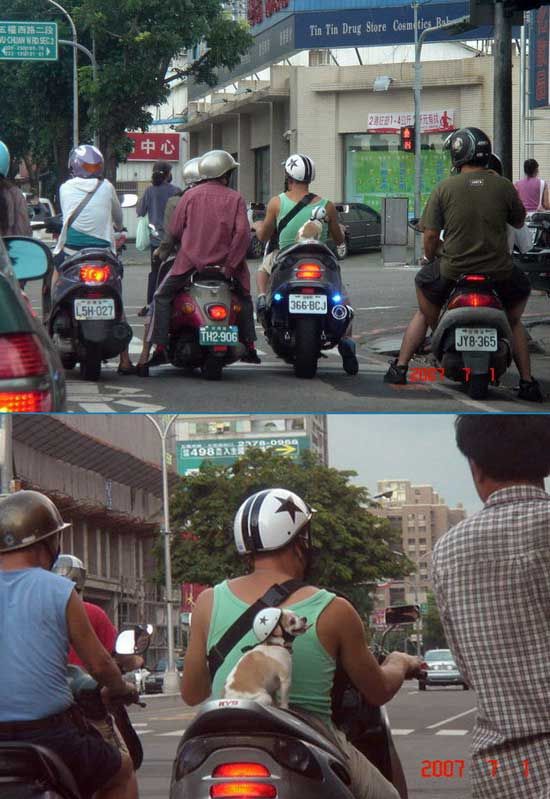 полноценный член команды