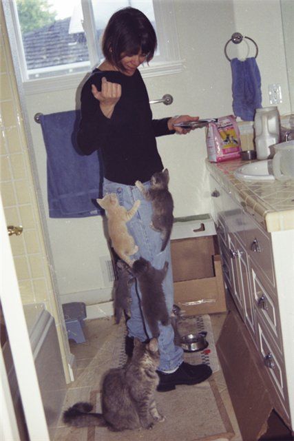 жрать хотим!!!