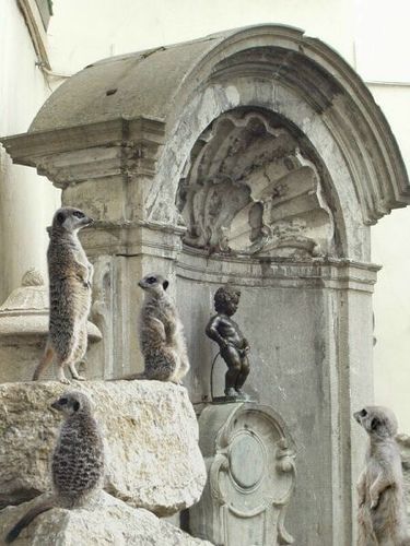 а че... классно он придумал...