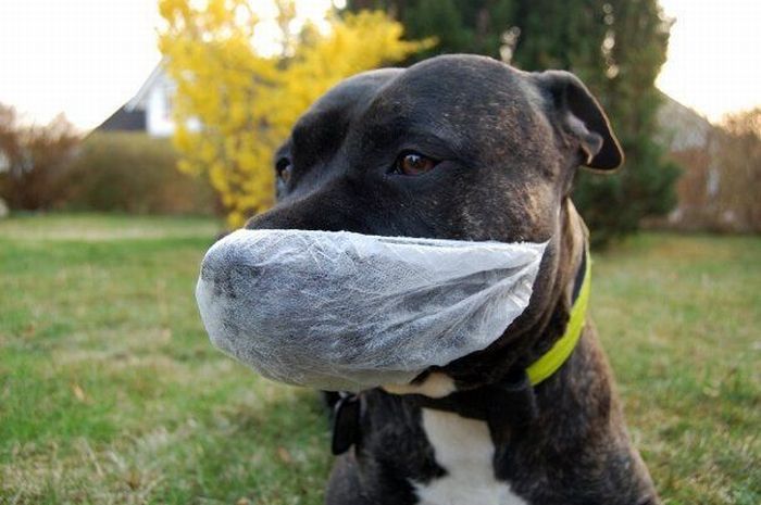 зима близко.. как бы не заразиться гриппом каким...