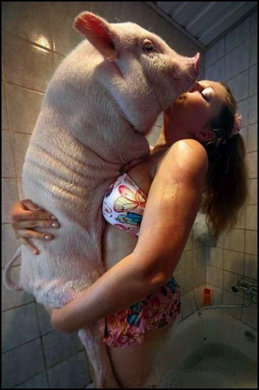 любимая зверушка