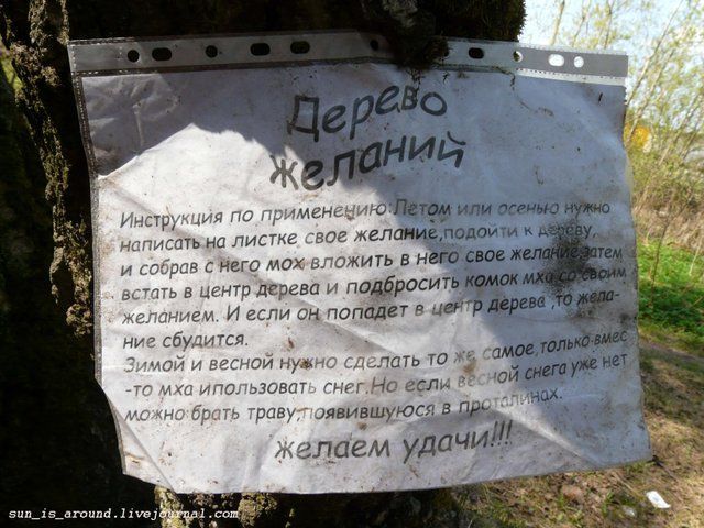 Дерево желаний