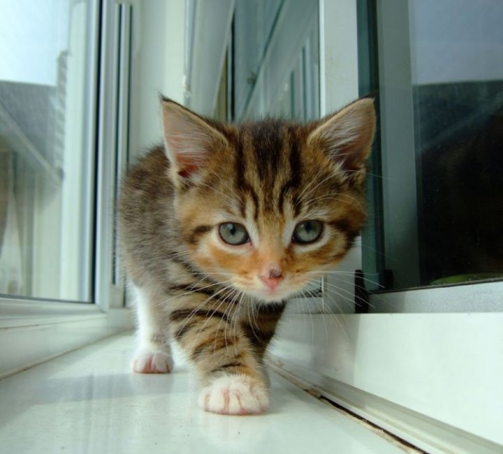 кто у нас тут такой?