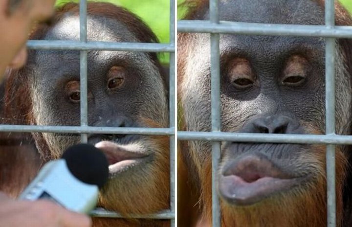 выражение морд - бомба!