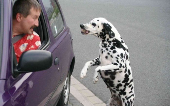 А ты так можешь?