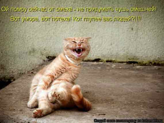 Кто сказал, что Whiskas вкуснее натуральной рыбёшки?!!