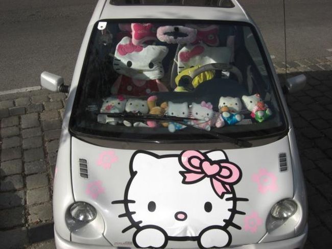 Хозяйка за кормом пошла.