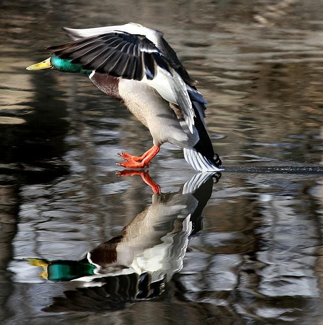 заход на посадку