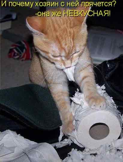 И почему хозяин с ней прячется? Она же не вкусная!