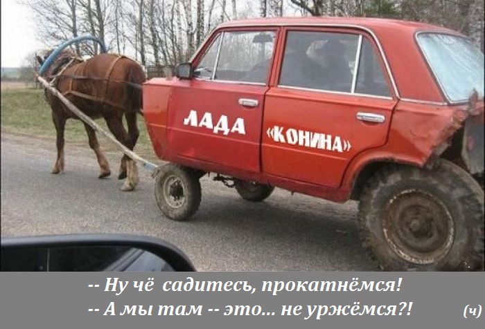 Калинка - конинка