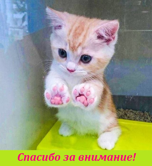 дайте мяяяяяяяса...