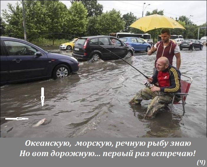 Дорожная рыбалка
