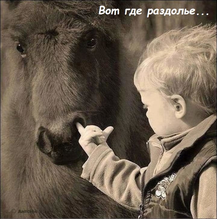 И чё у меня не такой же