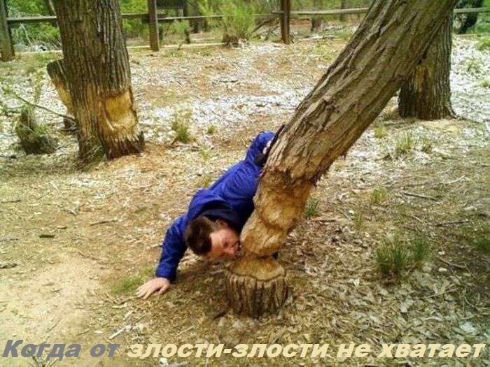 Когда чешутся зубки