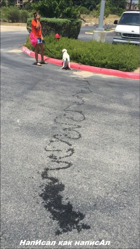 пИсатель блин