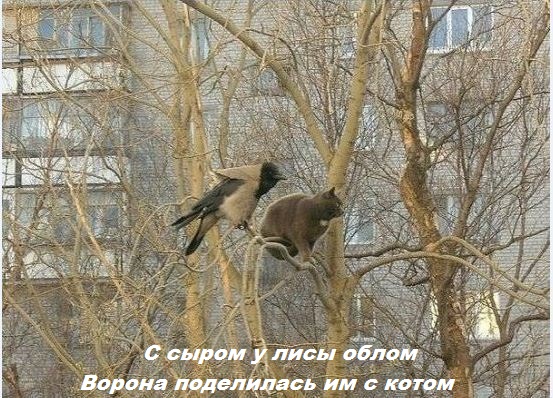 Мы с тобой с одной ветки