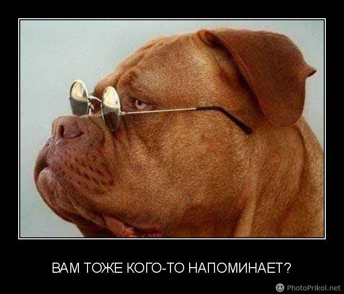 Вопрос