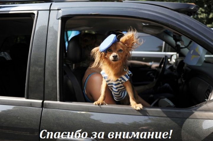 Морской пес!