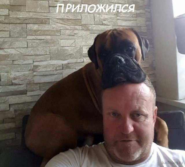 Осталось слюни распустить