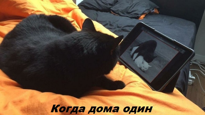 Не забыть потом стереть историю поисков