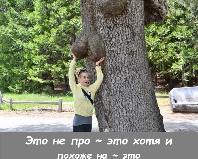 И так бывает