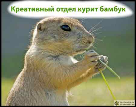 отдельный креатив - и мыслит нестандартно