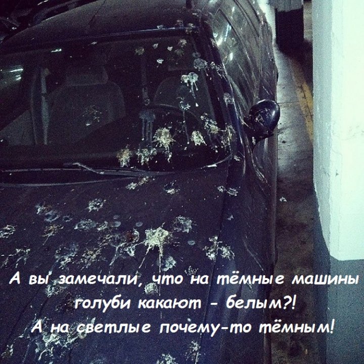 Кому нужна эта статистика?