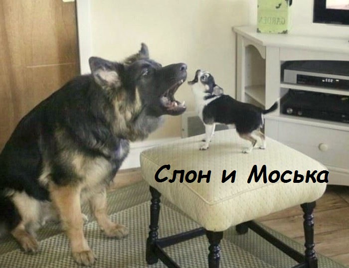 Уроки подражания