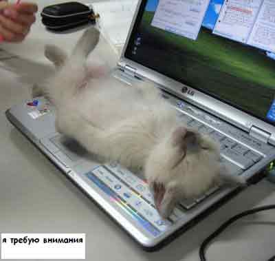 у маленьких существ - маленькие запросы))