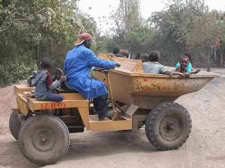 Бананы созрели!