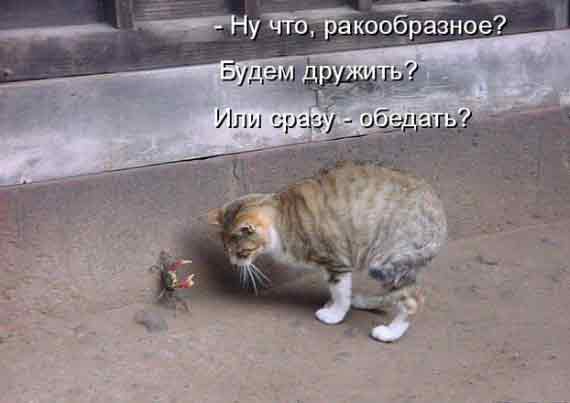 Я тебе покажу где раки зимуют