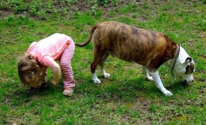 А где мой хвост?