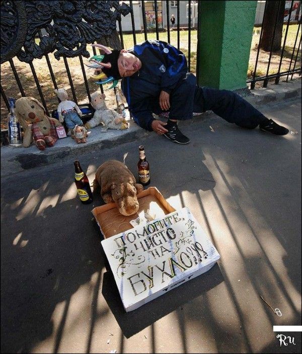 Ч - чесность