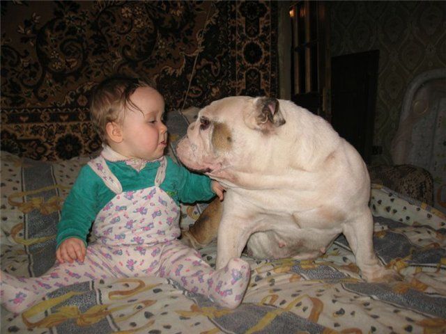 Я тебя уважаю!