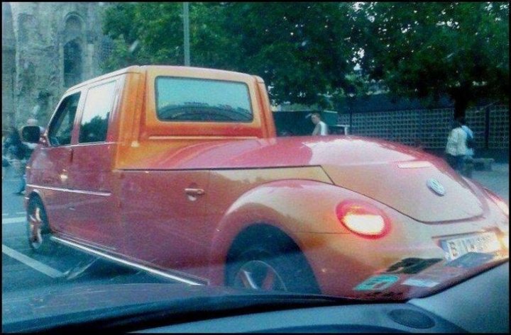 Чего только не встретишь на дороге