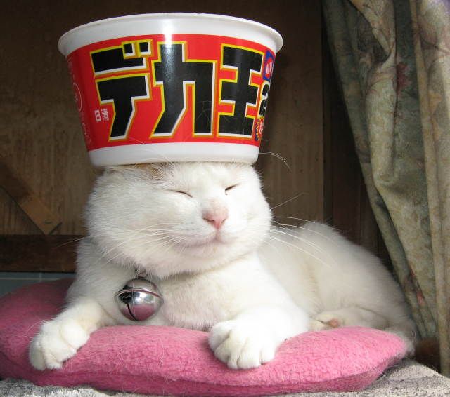 Царь... приятно познакомиться... царь!