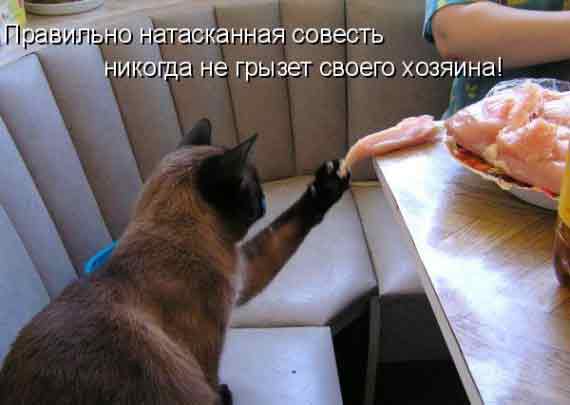 Хозяин...! А Ленин говорил - делиться надо...!!!