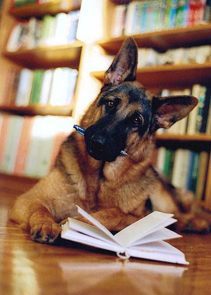 Последняя ночь перед экзаменом