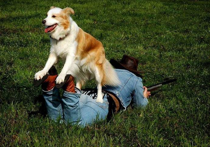 Сейчас я высмотрю тебе добычу