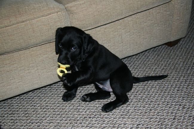 Успокоился