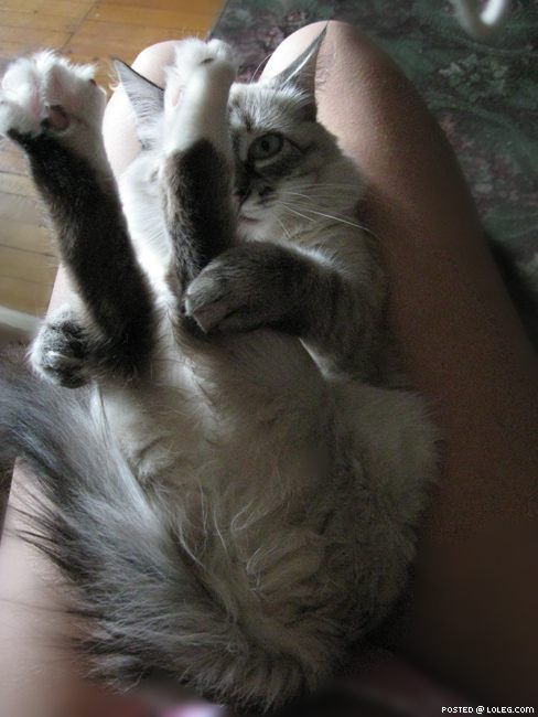 Занимаемся гимнастикой