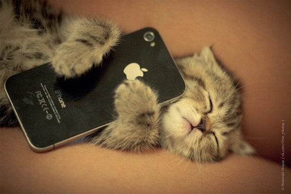 И без мышки наигрался всласть!