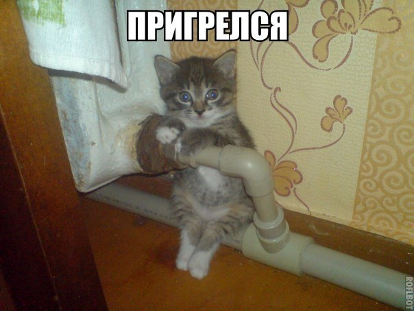 А здесь тепло!