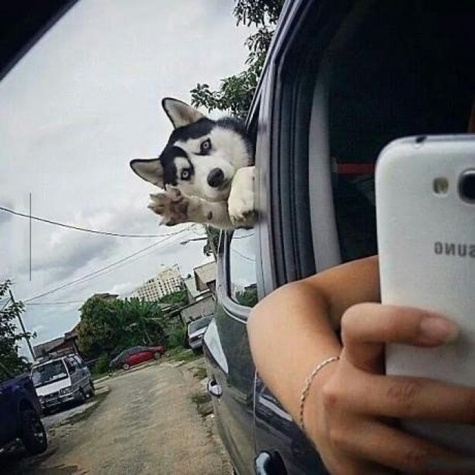 Ии, ии, ты у меня дорогу спроси...