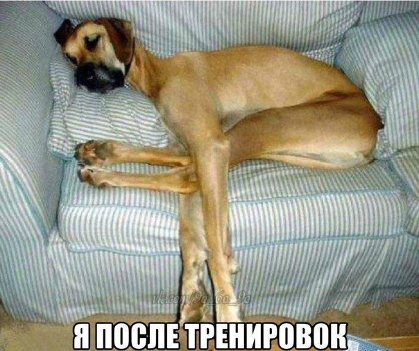 Хоспиди, а как кушать хотся...