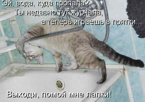 лучше бы наполнитель забыл насыпать, а водички попить оставил!